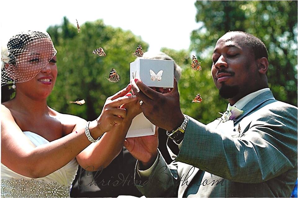 Buy Butterfly Release Wedding Packages from Cloverlawn Butterflies Butterfly Release Company