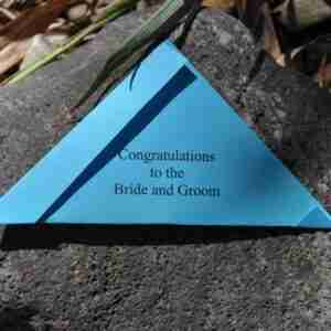 butterflies-for-wedding-release