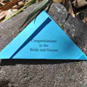 butterflies-for-wedding-release
