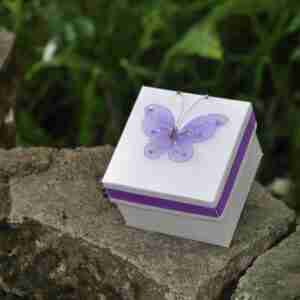 Painted Lady butterfly release package of 12 Painted Lady butterflies in a mass release box