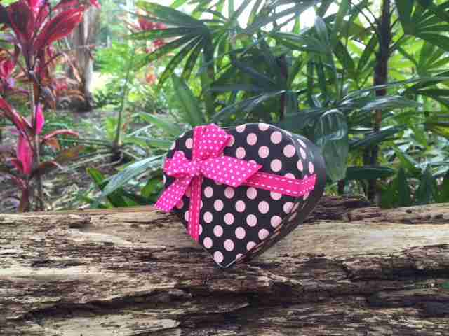 Painted Lady butterfly release package of 24 Painted Lady butterflies in heart shaped mass release box