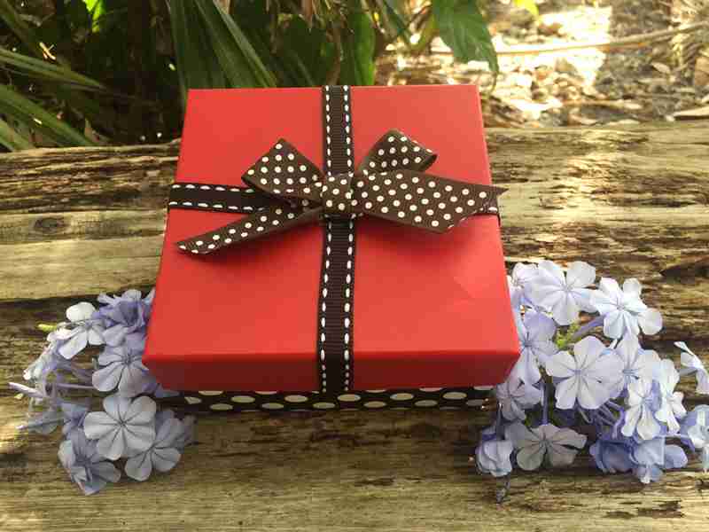Buy Butterflies to Release. Buy Butterfly Release Package of 12 Painted Lady Butterflies in a Polka Dot Box with Red Lid
