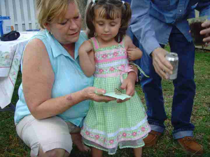 live-butterfly-release-graduations-weddings-funerals