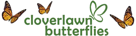 cloverlawn-Butterflies-logo